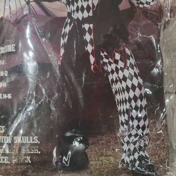 Evil Jester Boys size medium 10- 12 Halloween costume Read - Picture 6 of 10